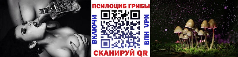 Галлюциногенные грибы ЛСД  Пойковский 